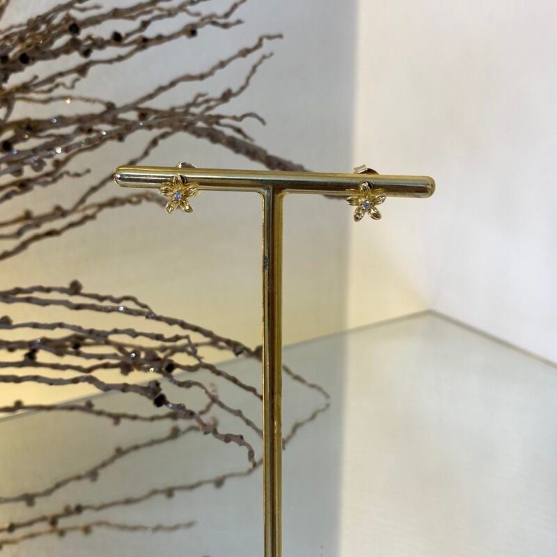 Brinco Flor Com Ponto de Luz (PP) Banho Ouro 18k